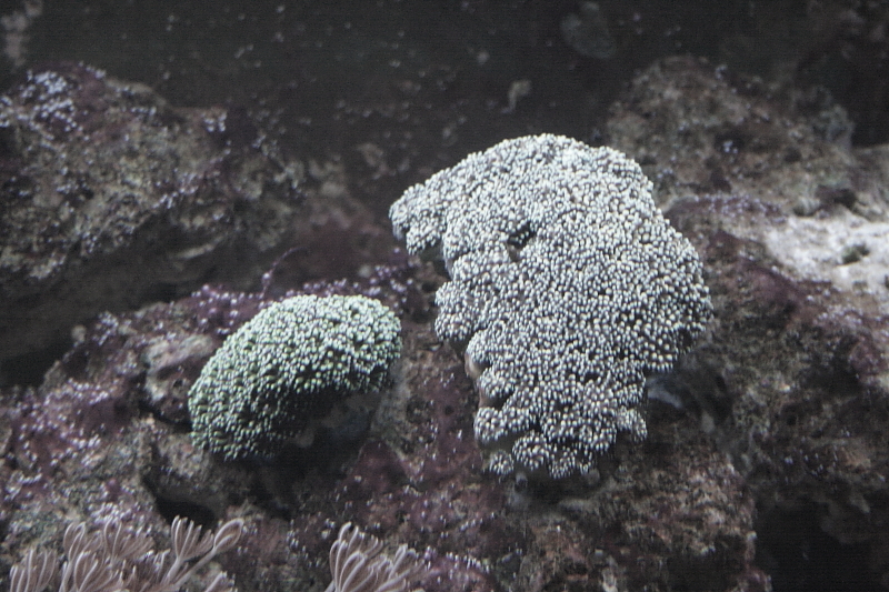 Killikus&reg; Fotographie